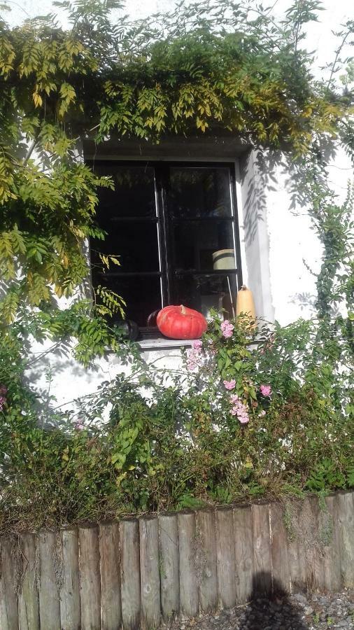 La Colline Des Roses Bed & Breakfast Conchil-le-Temple Екстериор снимка