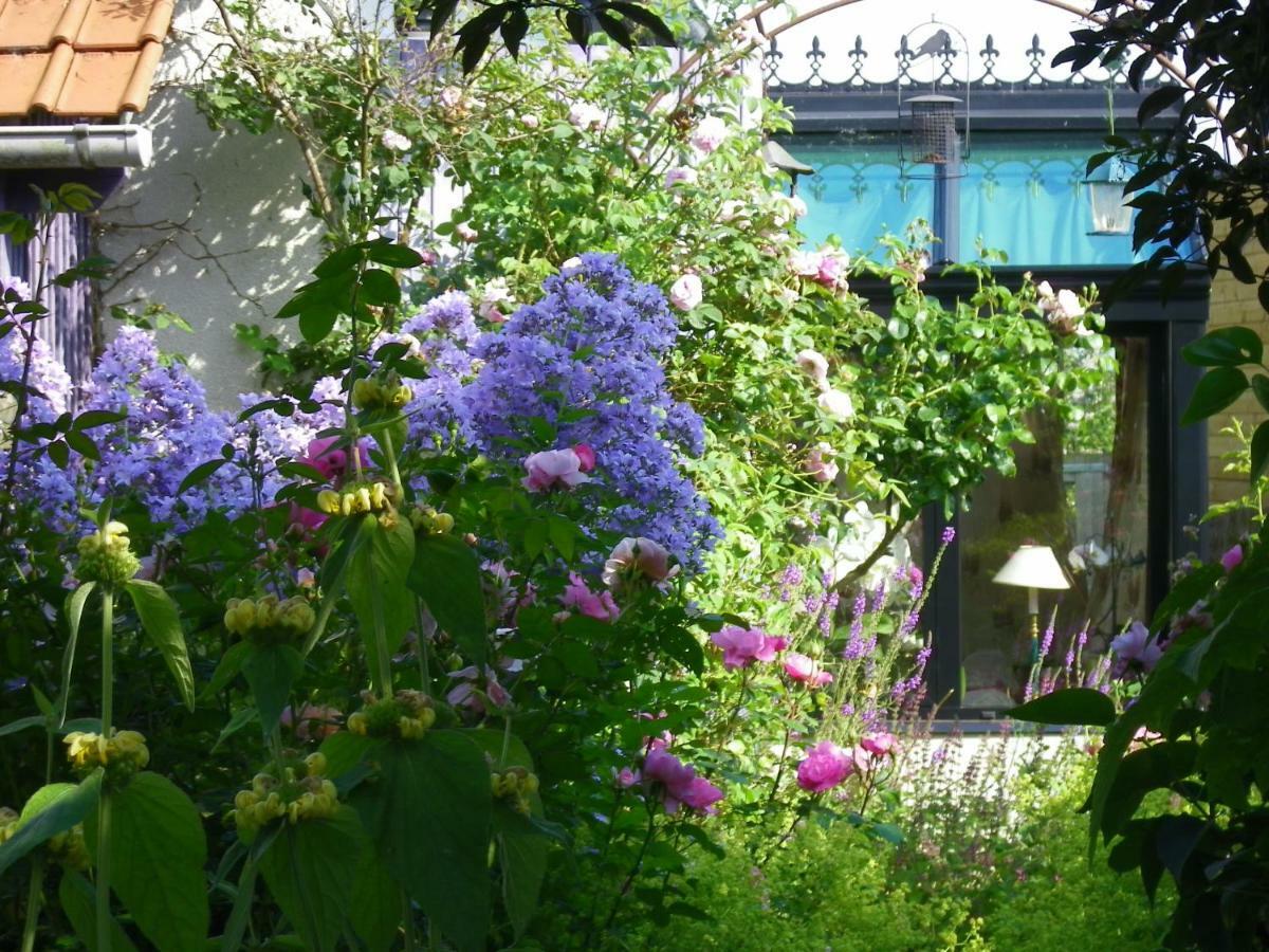 La Colline Des Roses Bed & Breakfast Conchil-le-Temple Екстериор снимка