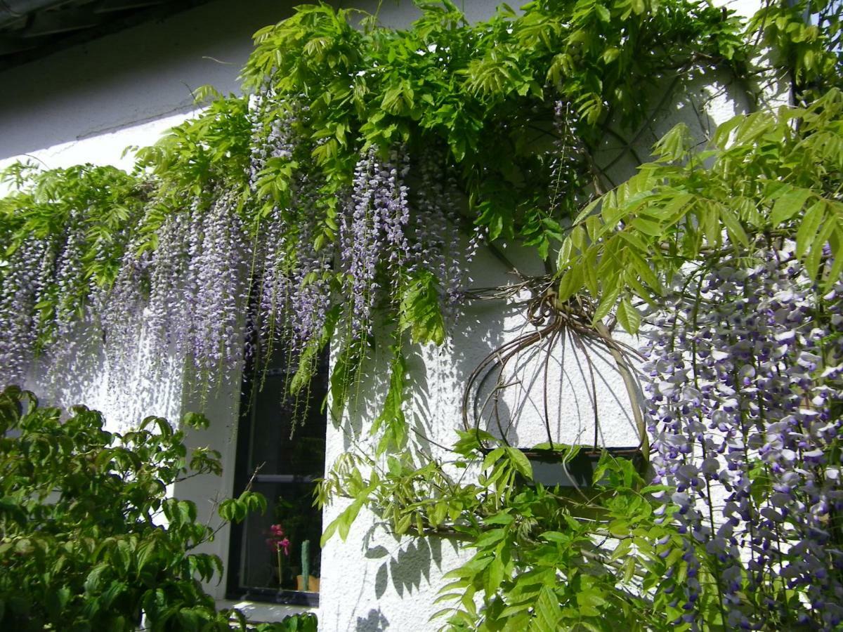 La Colline Des Roses Bed & Breakfast Conchil-le-Temple Екстериор снимка